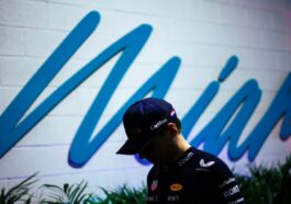 Chefe da Red Bull sobre Verstappen