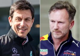 Christian Horner, Toto Wolff