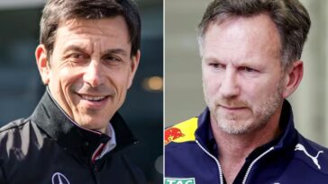 Christian Horner, Toto Wolff