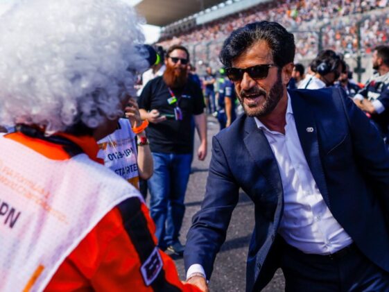 Mohammed Ben Sulayem, FIA