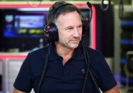 Christian Horner, Fórmula 1