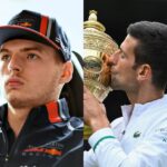 Max Verstappen e Novak Djokovic
