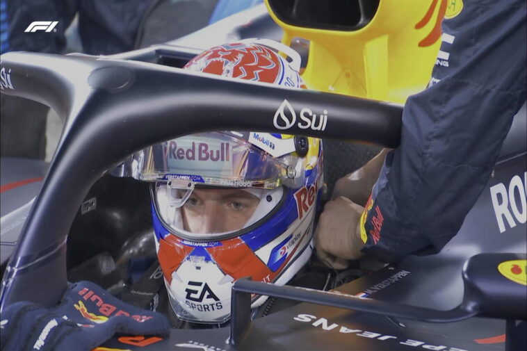 Max Verstappen na F1